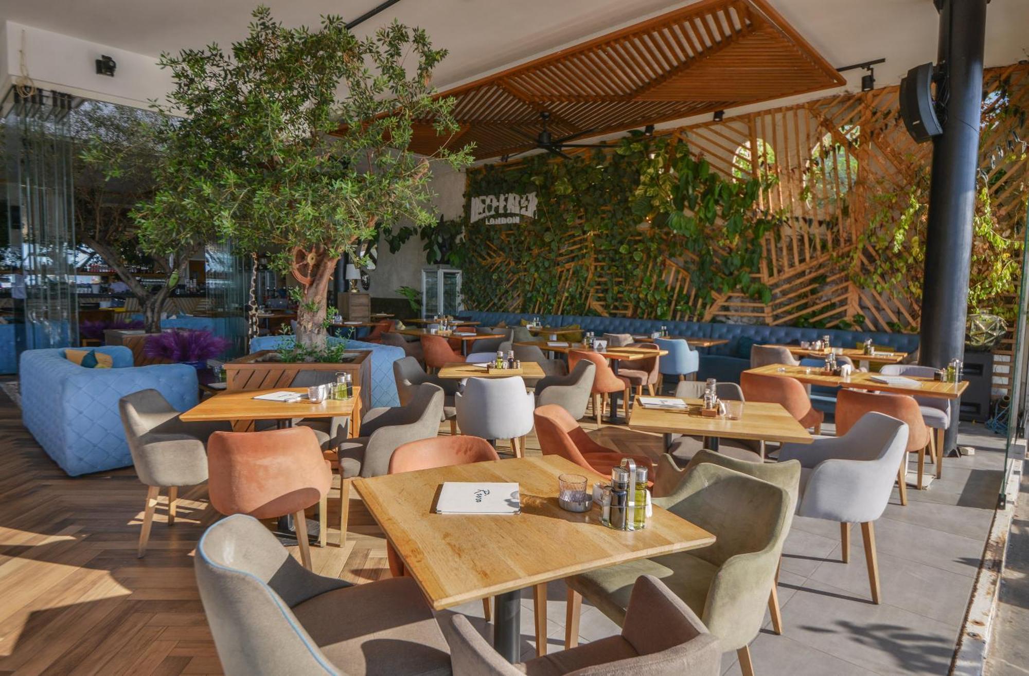 Hotel Riva Budva Dış mekan fotoğraf