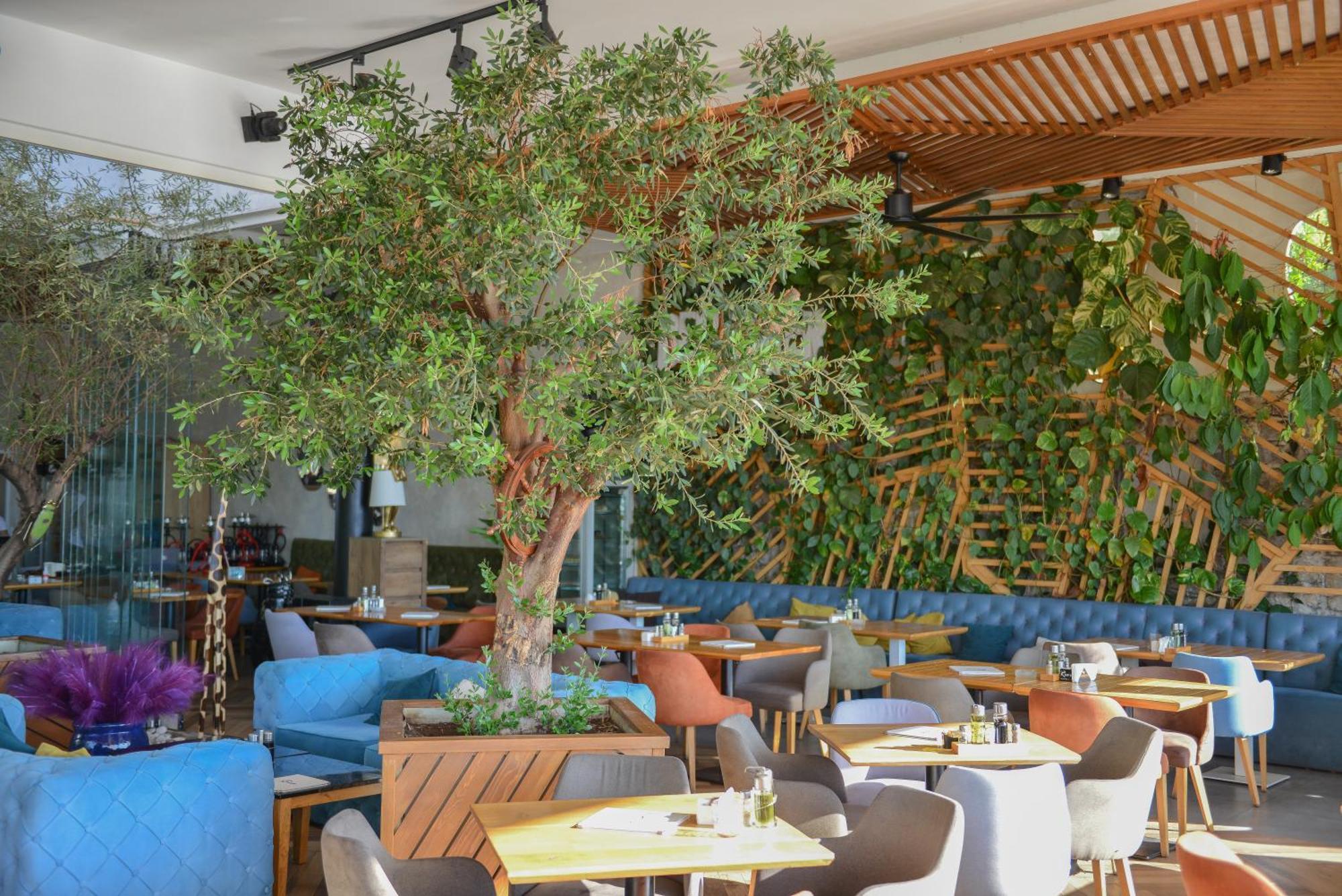 Hotel Riva Budva Dış mekan fotoğraf